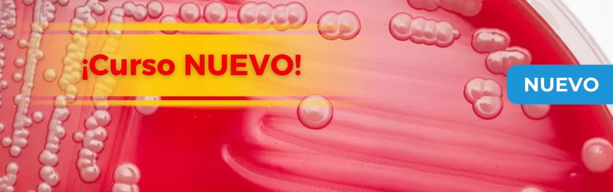 Implementación de la metodología para la determinación de Burkholderia